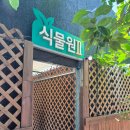 Albero (알베로) | 대동 카페] 초록 가득한 식물원과 명인의 빵이 있는 곳, 힐링 정원 카페 '알베로(Albero)' 내돈내산 후기