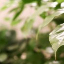 행복을주는 가정의학과의원 이미지