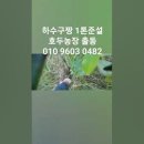 자명농장 이미지