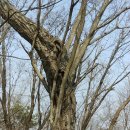 슬치주유소 이미지