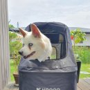 연가리 캠핑펜션 이미지