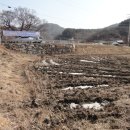 용문농장 이미지