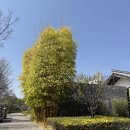 다운정화장품 | [윈난 리장 호텔 추천] 풀만 리장 리조트 앤 스파(Pullman Lijiang) 4박 숙박 후기