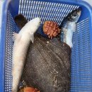 바우네매운탕 이미지
