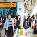 금정민물장어 이미지