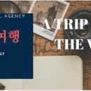 ㈜즐거운여행 이미지