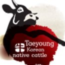 태영한우정육점 - 합천군 일부5길 11 | 태영한우정육점