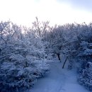 옥골농장 이미지