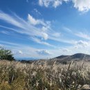 억새2축구장 이미지