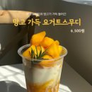아돌첸도피아노 이미지