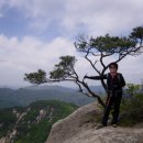 희양산 [曦陽山] 998m 경북 문경.충북 괴산 이미지