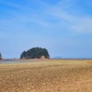 장고도7 이미지