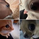 둘셋