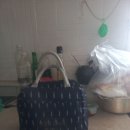 월야면사무소 이미지