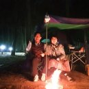 몽산포 야영장 이미지