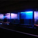 영월곤충박물관 이미지