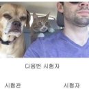 홍 - 남구 문현금융로 40 | 홍