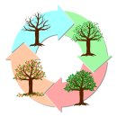 63 피트니스 이미지