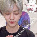 영시스