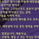 인트로