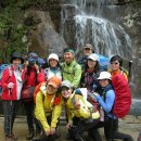 (주)예솔 이미지