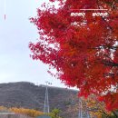 국내 기차여행 추천 강원도 당일치기 정선 여행 가을엔 여기로