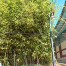 포뷰펜션 이미지