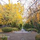 산성대로341번길 이미지