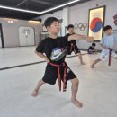 라이온 태권도장 이미지