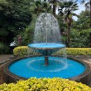 외도 | 거제 외도 보타니아 후기 와현유람선 외도랑 이용 꿀팁