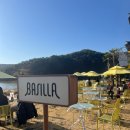 해바라기 애견 | 경주 애견동반 카페 경주 해바라기 카페 바실라