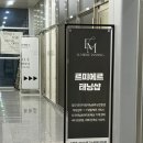 르미에르 일 이미지