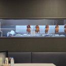 [강남] 강남역 역삼역 직장인 점심 맛집 『딤딤덕』 내돈내산 후기
