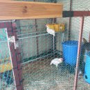 빅토리농장 이미지