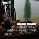 예지1길 이미지