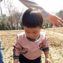 준영농장 이미지