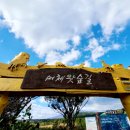 머체왓숲길영농조합 이미지