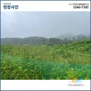 선 태양광발전소 이미지