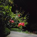 금요기타교실 이미지