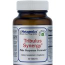 메타제닉스, 트리불러스, 남성 스테미너 정력 강화, Tribulus Synergy? 60 CT, 38000원| 이미지