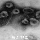 제일보석사우나 이미지