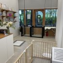 아리카 펫 살롱 분당점 이미지