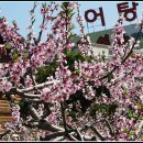 까치울역 2번 출구 이미지