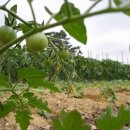 농사꾼농장 이미지