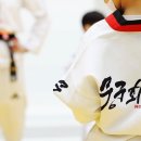 적성태권도장 이미지