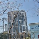 오션당구장 | 동해 가성비 숙소 동해오션시티레지던스 온돌룸 후기