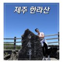 서귀포시 테니스공원 | 제주 한라산 등산 초보 후기 여름 필수 준비물