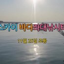 스카이좌대낚시터 이미지