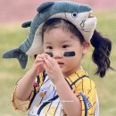 제주의 사색 이미지