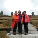 멋진하루 이미지